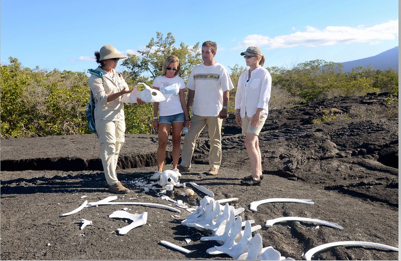 Celebrity Galapagos Islands