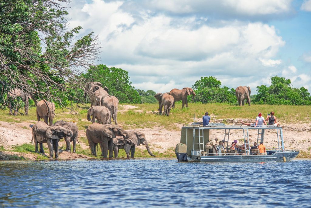 Game Viewing on the Chobe